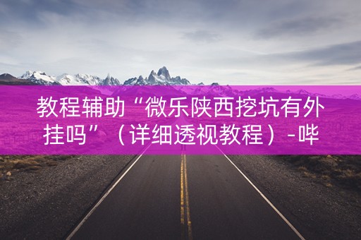 教程辅助“微乐陕西挖坑有外挂吗”（详细透视教程）-哔哩哔哩