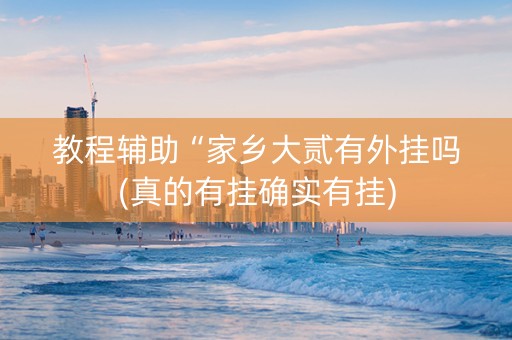 教程辅助“家乡大贰有外挂吗(真的有挂确实有挂)