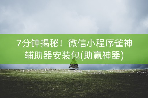 7分钟揭秘！微信小程序雀神辅助器安装包(助赢神器)