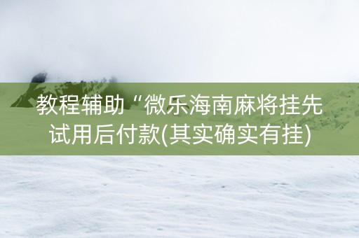 教程辅助“微乐海南麻将挂先试用后付款(其实确实有挂)
