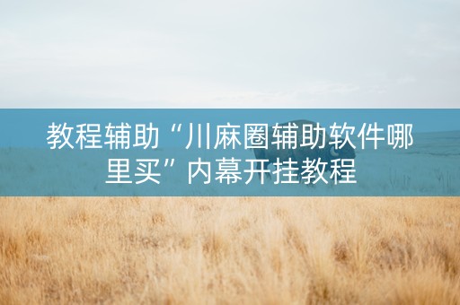教程辅助“川麻圈辅助软件哪里买”内幕开挂教程