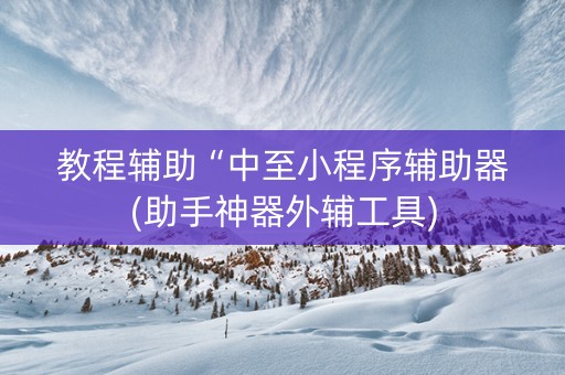 教程辅助“中至小程序辅助器(助手神器外辅工具)