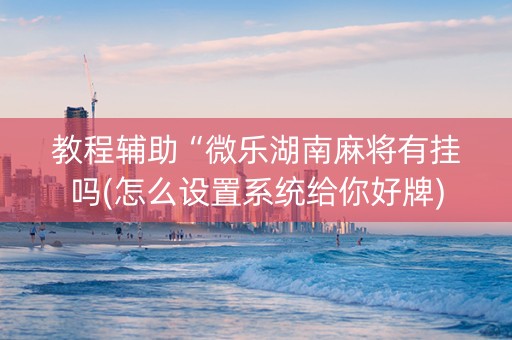 教程辅助“微乐湖南麻将有挂吗(怎么设置系统给你好牌)