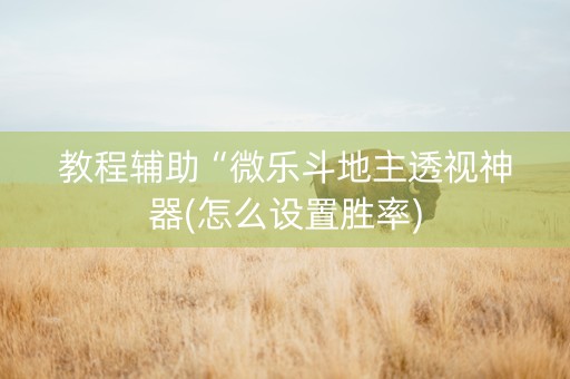 教程辅助“微乐斗地主透视神器(怎么设置胜率)
