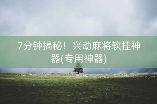 7分钟揭秘！兴动麻将软挂神器(专用神器)