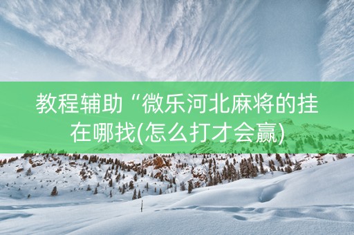 教程辅助“微乐河北麻将的挂在哪找(怎么打才会赢)