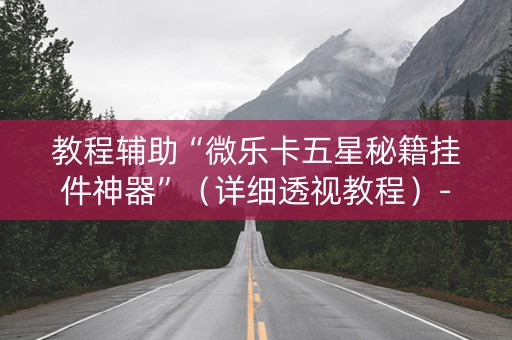 教程辅助“微乐卡五星秘籍挂件神器”（详细透视教程）-哔哩哔哩