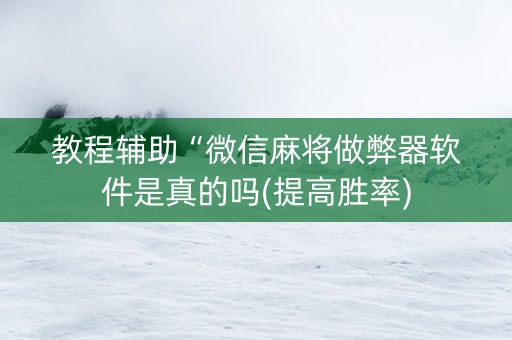 教程辅助“微信麻将做弊器软件是真的吗(提高胜率)