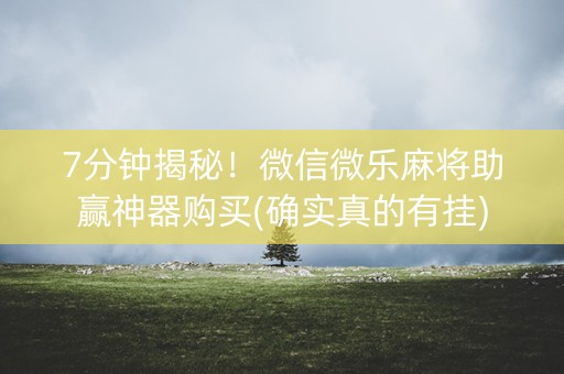 7分钟揭秘！微信微乐麻将助赢神器购买(确实真的有挂)