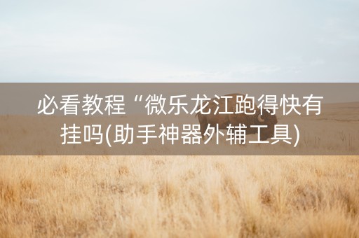 必看教程“微乐龙江跑得快有挂吗(助手神器外辅工具)