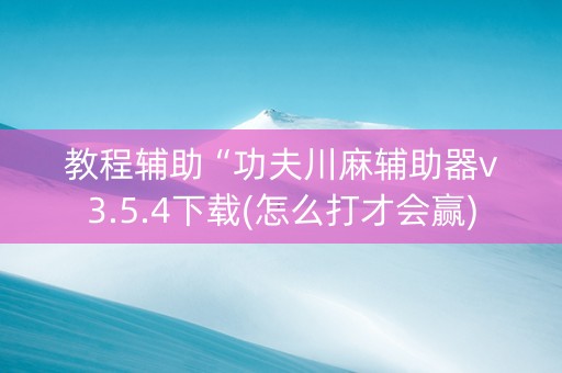 教程辅助“功夫川麻辅助器v3.5.4下载(怎么打才会赢)