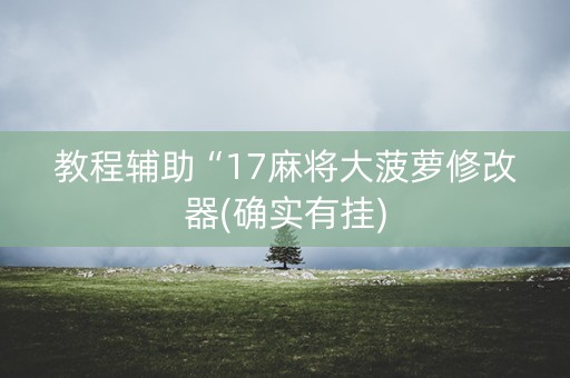 教程辅助“17麻将大菠萝修改器(确实有挂)