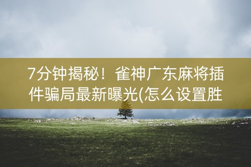 7分钟揭秘！雀神广东麻将插件骗局最新曝光(怎么设置胜率)