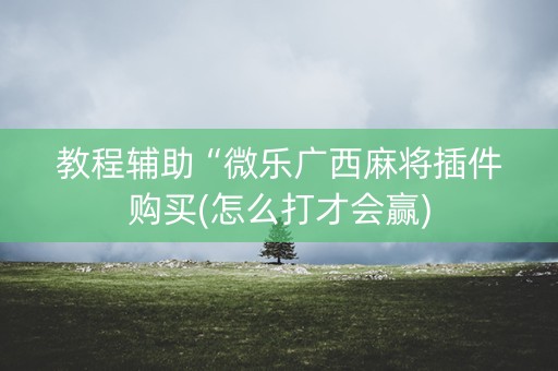 教程辅助“微乐广西麻将插件购买(怎么打才会赢)