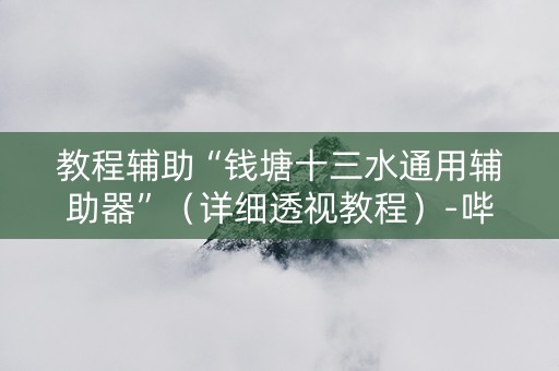 教程辅助“钱塘十三水通用辅助器”（详细透视教程）-哔哩哔哩