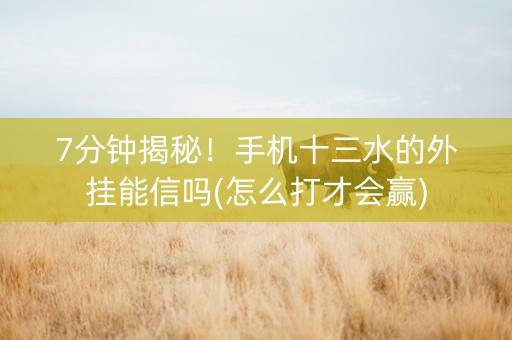 7分钟揭秘！手机十三水的外挂能信吗(怎么打才会赢)