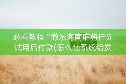 必看教程“微乐海南麻将挂先试用后付款(怎么让系统给发好牌)