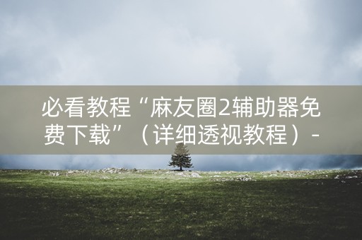 必看教程“麻友圈2辅助器免费下载”（详细透视教程）-哔哩哔哩