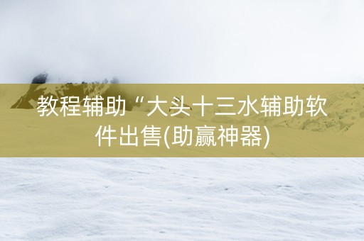 教程辅助“大头十三水辅助软件出售(助赢神器)