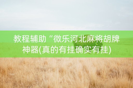 教程辅助“微乐河北麻将胡牌神器(真的有挂确实有挂)