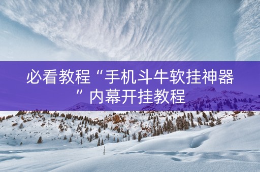 必看教程“手机斗牛软挂神器”内幕开挂教程