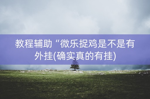教程辅助“微乐捉鸡是不是有外挂(确实真的有挂)
