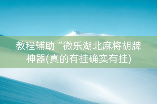 教程辅助“微乐湖北麻将胡牌神器(真的有挂确实有挂)