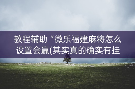 教程辅助“微乐福建麻将怎么设置会赢(其实真的确实有挂)