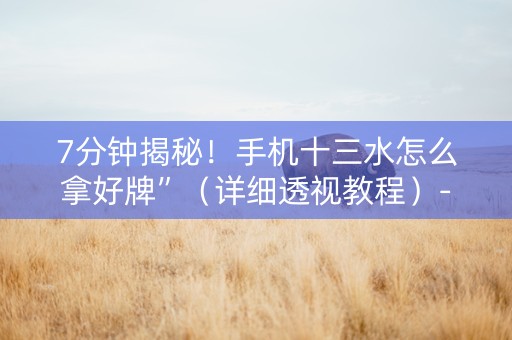 7分钟揭秘！手机十三水怎么拿好牌”（详细透视教程）-哔哩哔哩