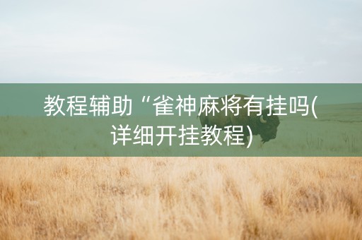 教程辅助“雀神麻将有挂吗(详细开挂教程)
