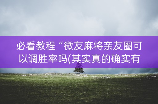 必看教程“微友麻将亲友圈可以调胜率吗(其实真的确实有挂)