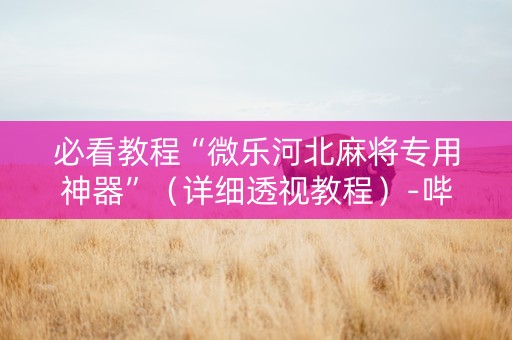 必看教程“微乐河北麻将专用神器”（详细透视教程）-哔哩哔哩