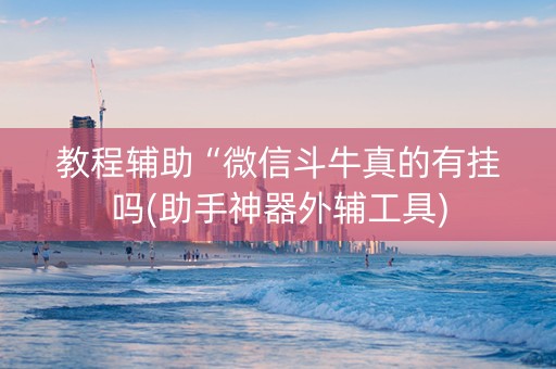 教程辅助“微信斗牛真的有挂吗(助手神器外辅工具)