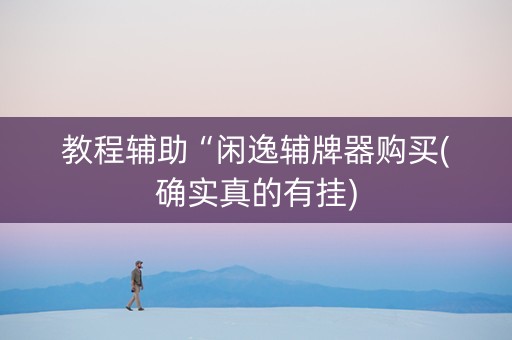 教程辅助“闲逸辅牌器购买(确实真的有挂)