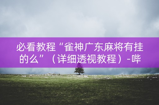 必看教程“雀神广东麻将有挂的么”（详细透视教程）-哔哩哔哩