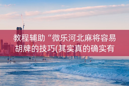 教程辅助“微乐河北麻将容易胡牌的技巧(其实真的确实有挂)
