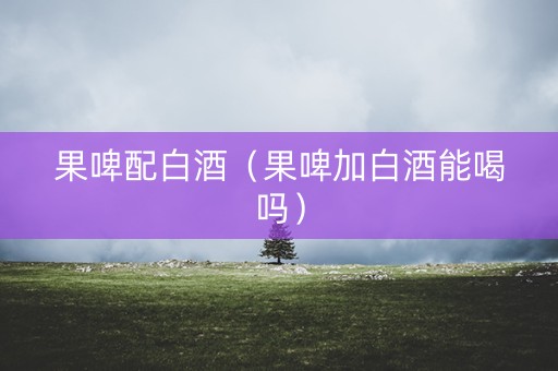 果啤配白酒（果啤加白酒能喝吗）
