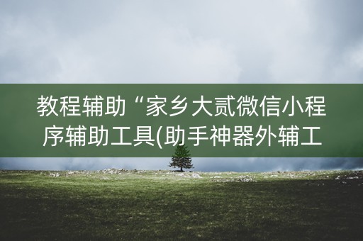 教程辅助“家乡大贰微信小程序辅助工具(助手神器外辅工具)