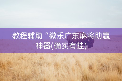 教程辅助“微乐广东麻将助赢神器(确实有挂)