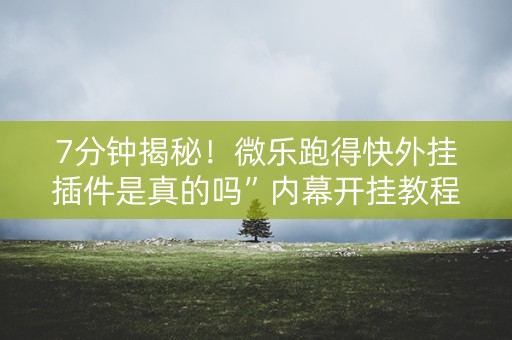 7分钟揭秘！微乐跑得快外挂插件是真的吗”内幕开挂教程