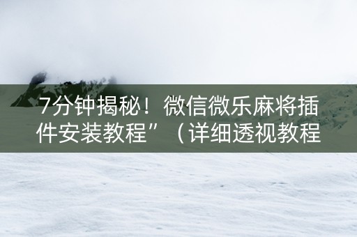 7分钟揭秘！微信微乐麻将插件安装教程”（详细透视教程）-哔哩哔哩