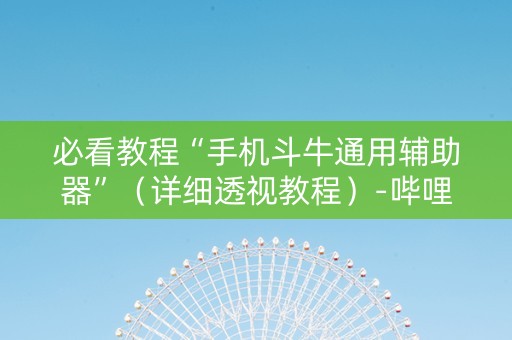 必看教程“手机斗牛通用辅助器”（详细透视教程）-哔哩哔哩