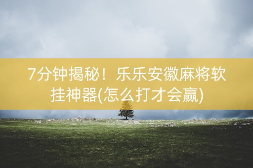 7分钟揭秘！乐乐安徽麻将软挂神器(怎么打才会赢)