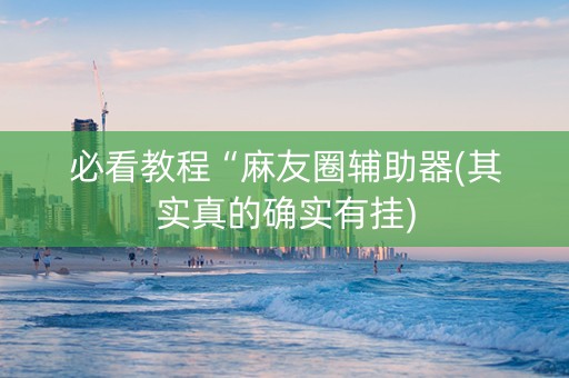 必看教程“麻友圈辅助器(其实真的确实有挂)
