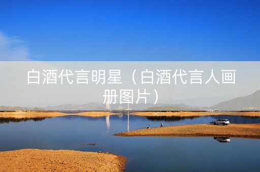 白酒代言明星（白酒代言人画册图片）