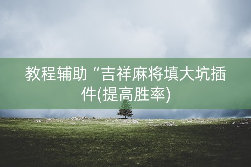 教程辅助“吉祥麻将填大坑插件(提高胜率)