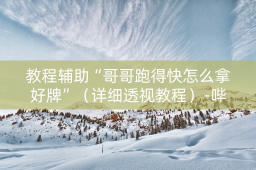 教程辅助“哥哥跑得快怎么拿好牌”（详细透视教程）-哔哩哔哩