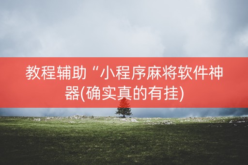 教程辅助“小程序麻将软件神器(确实真的有挂)