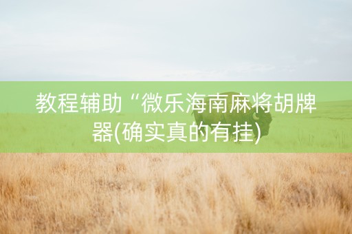 教程辅助“微乐海南麻将胡牌器(确实真的有挂)