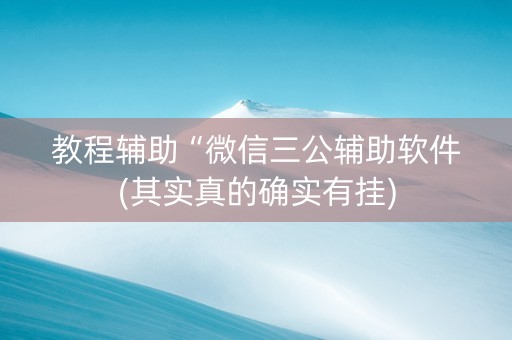 教程辅助“微信三公辅助软件(其实真的确实有挂)